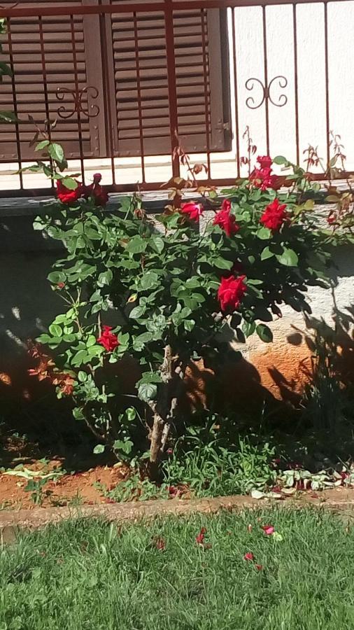 Apartment Vesna For 2, Free Parking And Wi-Fi Pola Esterno foto